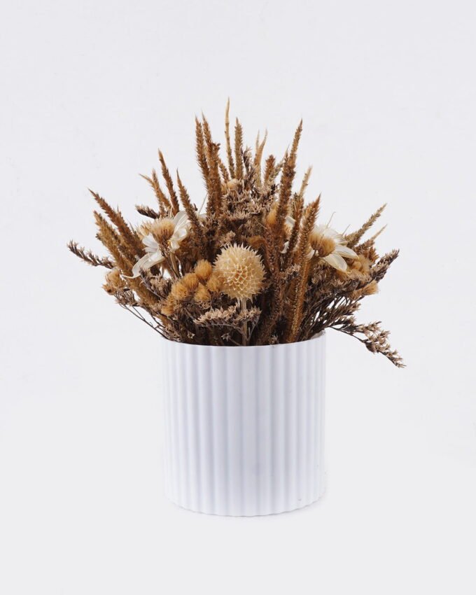Dried Flowers 16*16*22cm  Dried natural in PP pot GS-56626019 2026Aug 3,000+ sqm showroom with thousands of artificial flowers, plants & trees ready for global sourcing.