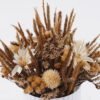 Dried Flowers 16*16*22cm  Dried natural in PP pot GS-56626019 2026Aug 3,000+ sqm showroom with thousands of artificial flowers, plants & trees ready for global sourcing.