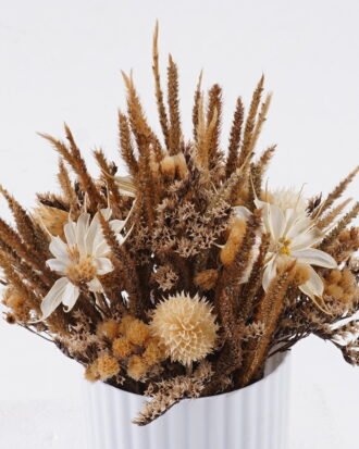 Dried Flowers 16*16*22cm Dried natural in PP pot GS-56626019 2026Aug 3,000+ sqm showroom with thousands of artificial flowers, plants & trees ready for global sourcing. Dried Flowers 16*16*22cm Dried natural in PP pot GS-56626019 2026Aug 3,000+ sqm showroom with thousands of artificial flowers, plants & trees ready for global sourcing.