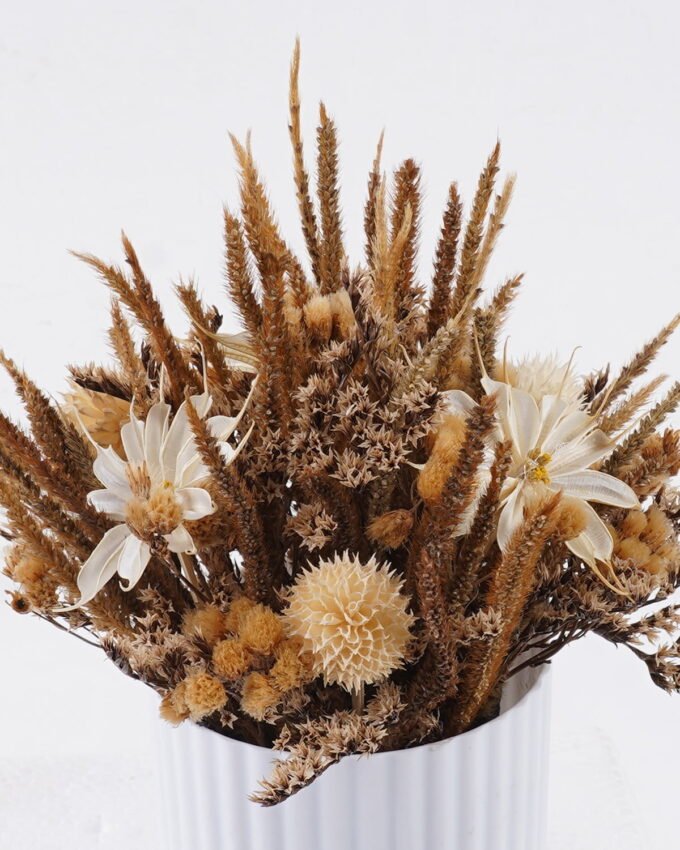 Dried Flowers 16*16*22cm  Dried natural in PP pot GS-56626019 2026Aug 3,000+ sqm showroom with thousands of artificial flowers, plants & trees ready for global sourcing.