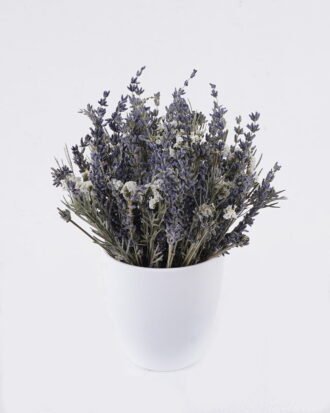 Dried Flowers 15*15*21cm Dried natural in PP pot GS-56626020 2026Aug 3,000+ sqm showroom with thousands of artificial flowers, plants & trees ready for global sourcing. Dried Flowers 15*15*21cm Dried natural in PP pot GS-56626020 2026Aug 3,000+ sqm showroom with thousands of artificial flowers, plants & trees ready for global sourcing.