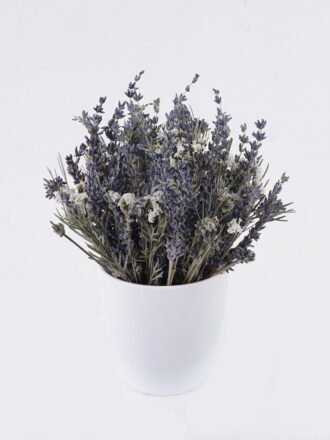 Dried Flowers 15*15*19cm  Dried natural in PP pot GS-56626021 2026Aug 3,000+ sqm showroom with thousands of artificial flowers, plants & trees ready for global sourcing.