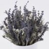 Dried Flowers Dried natural in PP pot GS-56626020_1 Dried Flowers 15*15*21cm Dried natural in PP pot GS-56626020 2026Aug 3,000+ sqm showroom with thousands of artificial flowers, plants & trees ready for global sourcing.