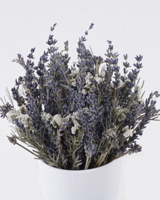 Dried Flowers 15*15*21cm Dried natural in PP pot GS-56626020 2026Aug 3,000+ sqm showroom with thousands of artificial flowers, plants & trees ready for global sourcing. Dried Flowers 15*15*21cm Dried natural in PP pot GS-56626020 2026Aug 3,000+ sqm showroom with thousands of artificial flowers, plants & trees ready for global sourcing.