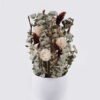Dried Flowers Dried natural in PP pot GS-56626100_3 Dried Flowers 18*18*30cm Dried natural in PP pot GS-56626100 2026Aug 3,000+ sqm showroom with thousands of artificial flowers, plants & trees ready for global sourcing.