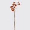 Dried Flowers 8*5*48cm Dried natural items bouquet *10 with PP wrapped GS-56626049-O1 2026Aug 3,000+ sqm showroom with thousands of artificial flowers, plants & trees ready for global sourcing.