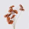 Dried Flowers 8*5*48cm Dried natural items bouquet *10 with PP wrapped GS-56626049-O1 2026Aug 3,000+ sqm showroom with thousands of artificial flowers, plants & trees ready for global sourcing.