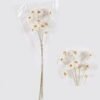 Dried Flowers 8*5*48cm Dried natural items bouquet *10 with PP wrapped GS-56626049-W1 2026Aug 3,000+ sqm showroom with thousands of artificial flowers, plants & trees ready for global sourcing.