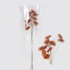 Dried Flowers Dried natural items bouquet 10 with PP wrapped GS-56626049_5 Dried Flowers 8*5*48cm Dried natural items bouquet *10 with PP wrapped GS-56626049 2026Aug 3,000+ sqm showroom with thousands of artificial flowers, plants & trees ready for global sourcing.