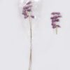 Dried Flowers Dried natural items bouquet 10 with PP wrapped GS-56626050-Z1_4 Dried Flowers 10*3*50cm Dried natural items bouquet *10 with PP wrapped GS-56626050-Z1 2026Aug 3,000+ sqm showroom with thousands of artificial flowers, plants & trees ready for global sourcing.