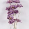 Dried Flowers Dried natural items bouquet 10 with PP wrapped GS-56626050-Z1_5 Dried Flowers 10*3*50cm Dried natural items bouquet *10 with PP wrapped GS-56626050-Z1 2026Aug 3,000+ sqm showroom with thousands of artificial flowers, plants & trees ready for global sourcing.