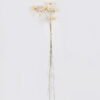 Dried Flowers 10*3*50cm Dried natural items bouquet *10 with PP wrapped GS-56626050 2026Aug 3,000+ sqm showroom with thousands of artificial flowers, plants & trees ready for global sourcing.