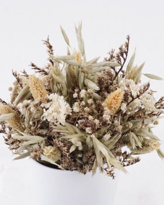 Dried Flowers 16*16*20cm Dried naturals in PP pot GS-56626010 2026Aug 3,000+ sqm showroom with thousands of artificial flowers, plants & trees ready for global sourcing. Dried Flowers 16*16*20cm Dried naturals in PP pot GS-56626010 2026Aug 3,000+ sqm showroom with thousands of artificial flowers, plants & trees ready for global sourcing.