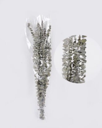 Dried Flowers 14*8*67cm Eucalyptus bundle/nature plants GS-56626093 2026Aug 3,000+ sqm showroom with thousands of artificial flowers, plants & trees ready for global sourcing. Dried Flowers 14*8*67cm Eucalyptus bundle/nature plants GS-56626093 2026Aug 3,000+ sqm showroom with thousands of artificial flowers, plants & trees ready for global sourcing.