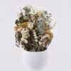 Dried Flowers Flower in PP pot nature plants GS-56626053 Dried Flowers 20*18*29cm Flower in PP pot/ nature plants GS-56626053 2026Aug 3,000+ sqm showroom with thousands of artificial flowers, plants & trees ready for global sourcing.