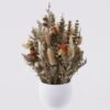 Dried Flowers Flower in PP pot nature plants GS-56626054 Dried Flowers 26*16*32cm Flower in PP pot/ nature plants GS-56626054 2026Aug 3,000+ sqm showroom with thousands of artificial flowers, plants & trees ready for global sourcing.