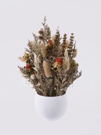 Dried Flowers 20*18*29cm Flower in PP pot/ nature plants GS-56626053 2026Aug 3,000+ sqm showroom with thousands of artificial flowers, plants & trees ready for global sourcing.