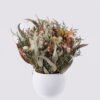 Dried Flowers Flower in PP pot nature plants GS-56626055 Dried Flowers 23*15*29cm Flower in PP pot/ nature plants GS-56626055 2026Aug 3,000+ sqm showroom with thousands of artificial flowers, plants & trees ready for global sourcing.