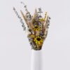 Dried Flowers Flower in PP pot nature plants GS-56626056 Dried Flowers 23*14*52cm Flower in PP pot/ nature plants GS-56626056 2026Aug 3,000+ sqm showroom with thousands of artificial flowers, plants & trees ready for global sourcing.