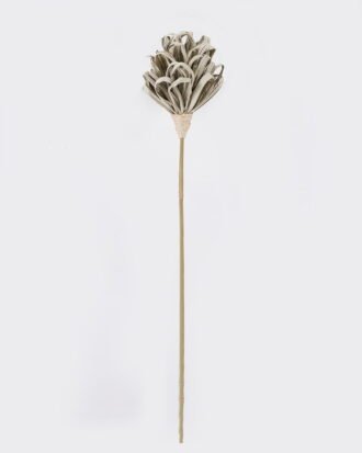 Dried Flowers 13*12*128cm Flower single stem/nature plants GS-56626096 2026Aug 3,000+ sqm showroom with thousands of artificial flowers, plants & trees ready for global sourcing. Dried Flowers 13*12*128cm Flower single stem/nature plants GS-56626096 2026Aug 3,000+ sqm showroom with thousands of artificial flowers, plants & trees ready for global sourcing.