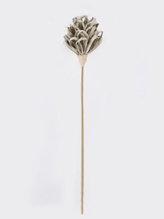 Dried Flowers 34*4*128cm Leaf single stem/nature plants GS-56626095 2026Aug 3,000+ sqm showroom with thousands of artificial flowers, plants & trees ready for global sourcing.