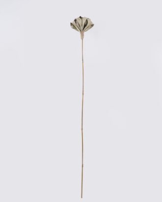 Dried Flowers 14*14*126cm Flower single stem/nature plants GS-56626097 2026Aug 3,000+ sqm showroom with thousands of artificial flowers, plants & trees ready for global sourcing. Dried Flowers 14*14*126cm Flower single stem/nature plants GS-56626097 2026Aug 3,000+ sqm showroom with thousands of artificial flowers, plants & trees ready for global sourcing.