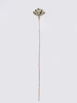Dried Flowers 13*12*128cm Flower single stem/nature plants GS-56626096 2026Aug 3,000+ sqm showroom with thousands of artificial flowers, plants & trees ready for global sourcing.