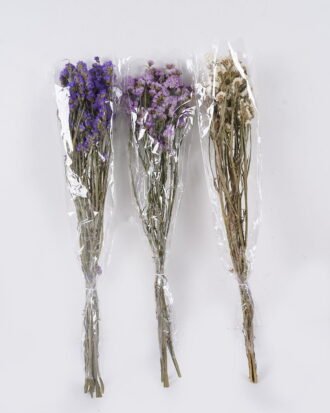 Dried Flowers 17*5*74cm Forget-me-not bundle/nature plants GS-56626091 2026Aug 3,000+ sqm showroom with thousands of artificial flowers, plants & trees ready for global sourcing. Dried Flowers 17*5*74cm Forget-me-not bundle/nature plants GS-56626091 2026Aug 3,000+ sqm showroom with thousands of artificial flowers, plants & trees ready for global sourcing.