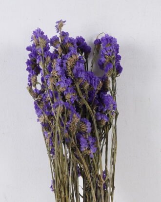 Dried Flowers 17*5*74cm Forget-me-not bundle/nature plants GS-56626091 2026Aug 3,000+ sqm showroom with thousands of artificial flowers, plants & trees ready for global sourcing. Dried Flowers 17*5*74cm Forget-me-not bundle/nature plants GS-56626091 2026Aug 3,000+ sqm showroom with thousands of artificial flowers, plants & trees ready for global sourcing.