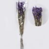 Dried Flowers Forget-me-not bundle nature plants GS-56626091_3 Dried Flowers 17*5*74cm Forget-me-not bundle/nature plants GS-56626091 2026Aug 3,000+ sqm showroom with thousands of artificial flowers, plants & trees ready for global sourcing.