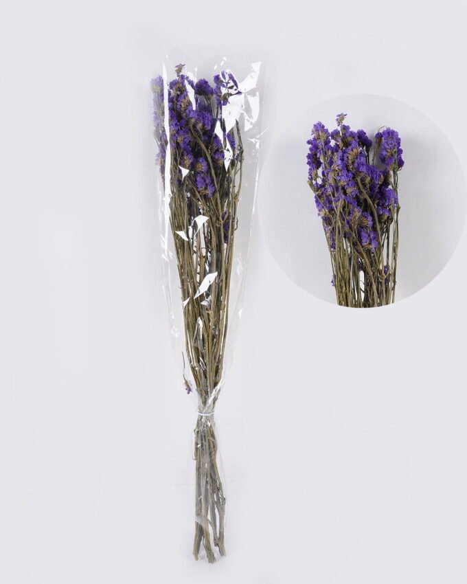 Dried Flowers Forget-me-not bundle nature plants GS-56626091_3 Dried Flowers 17*5*74cm Forget-me-not bundle/nature plants GS-56626091 2026Aug 3,000+ sqm showroom with thousands of artificial flowers, plants & trees ready for global sourcing.