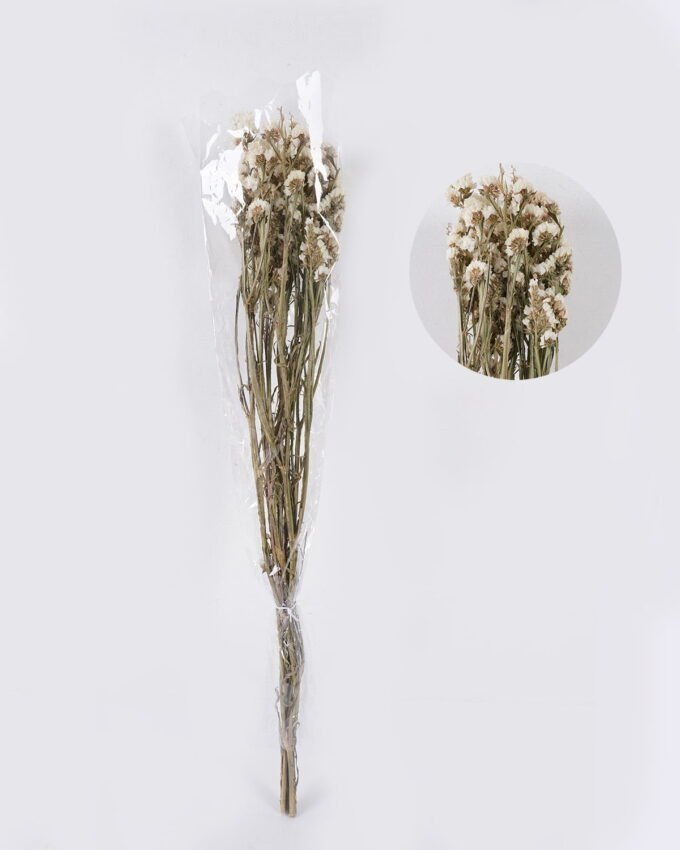 Dried Flowers Forget-me-not bundle nature plants GS-56626091_4 Dried Flowers 17*5*74cm Forget-me-not bundle/nature plants GS-56626091 2026Aug 3,000+ sqm showroom with thousands of artificial flowers, plants & trees ready for global sourcing.