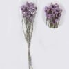 Dried Flowers Forget-me-not bundle nature plants GS-56626091_5 Dried Flowers 17*5*74cm Forget-me-not bundle/nature plants GS-56626091 2026Aug 3,000+ sqm showroom with thousands of artificial flowers, plants & trees ready for global sourcing.