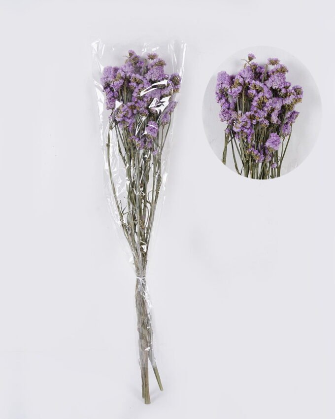 Dried Flowers Forget-me-not bundle nature plants GS-56626091_5 Dried Flowers 17*5*74cm Forget-me-not bundle/nature plants GS-56626091 2026Aug 3,000+ sqm showroom with thousands of artificial flowers, plants & trees ready for global sourcing.