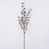 Dried Flowers Fruit single stem nature plants GS-56626094_4 Dried Flowers 15*3*95cm Fruit single stem/nature plants GS-56626094 2026Aug 3,000+ sqm showroom with thousands of artificial flowers, plants & trees ready for global sourcing.