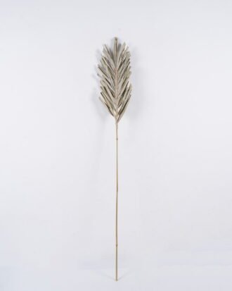 Dried Flowers 20*1*137cm Leaf single stem/nature plants GS-56626090 2026Aug 3,000+ sqm showroom with thousands of artificial flowers, plants & trees ready for global sourcing. Dried Flowers 20*1*137cm Leaf single stem/nature plants GS-56626090 2026Aug 3,000+ sqm showroom with thousands of artificial flowers, plants & trees ready for global sourcing.