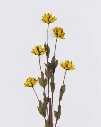 Dried Flowers 7*5*79cm Pistachio single stem/nature plants GS-56626052-Y1 2026Aug 3,000+ sqm showroom with thousands of artificial flowers, plants & trees ready for global sourcing.