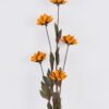 Dried Flowers 7*5*79cm Pistachio single stem/nature plants GS-56626052 2026Aug 3,000+ sqm showroom with thousands of artificial flowers, plants & trees ready for global sourcing.