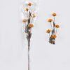 Dried Flowers 7*5*79cm Pistachio single stem/nature plants GS-56626052 2026Aug 3,000+ sqm showroom with thousands of artificial flowers, plants & trees ready for global sourcing.
