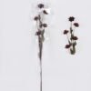 Dried Flowers 7*5*79cm Pistachio single stem/nature plants GS-56626052 2026Aug 3,000+ sqm showroom with thousands of artificial flowers, plants & trees ready for global sourcing.