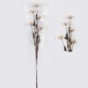 Dried Flowers 7*5*79cm Pistachio single stem/nature plants GS-56626052 2026Aug 3,000+ sqm showroom with thousands of artificial flowers, plants & trees ready for global sourcing.