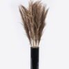 Dried Flowers Reed 18 in PP pot GS-56626001_1 Dried Flowers 50*30*150cm Reed *18 in PP pot GS-56626001 2026Aug 3,000+ sqm showroom with thousands of artificial flowers, plants & trees ready for global sourcing.