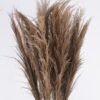 Dried Flowers Reed 18 in PP pot GS-56626001_9 Dried Flowers 50*30*150cm Reed *18 in PP pot GS-56626001 2026Aug 3,000+ sqm showroom with thousands of artificial flowers, plants & trees ready for global sourcing.