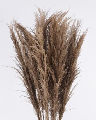 Dried Flowers 50*30*150cm Reed *18 in PP pot GS-56626001 2026Aug 3,000+ sqm showroom with thousands of artificial flowers, plants & trees ready for global sourcing. Dried Flowers 50*30*150cm Reed *18 in PP pot GS-56626001 2026Aug 3,000+ sqm showroom with thousands of artificial flowers, plants & trees ready for global sourcing.