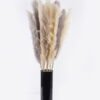 Dried Flowers Reed 18 in PP pot GS-56626002_8 Dried Flowers 50*30*150cm Reed *18 in PP pot GS-56626002 2026Aug 3,000+ sqm showroom with thousands of artificial flowers, plants & trees ready for global sourcing.