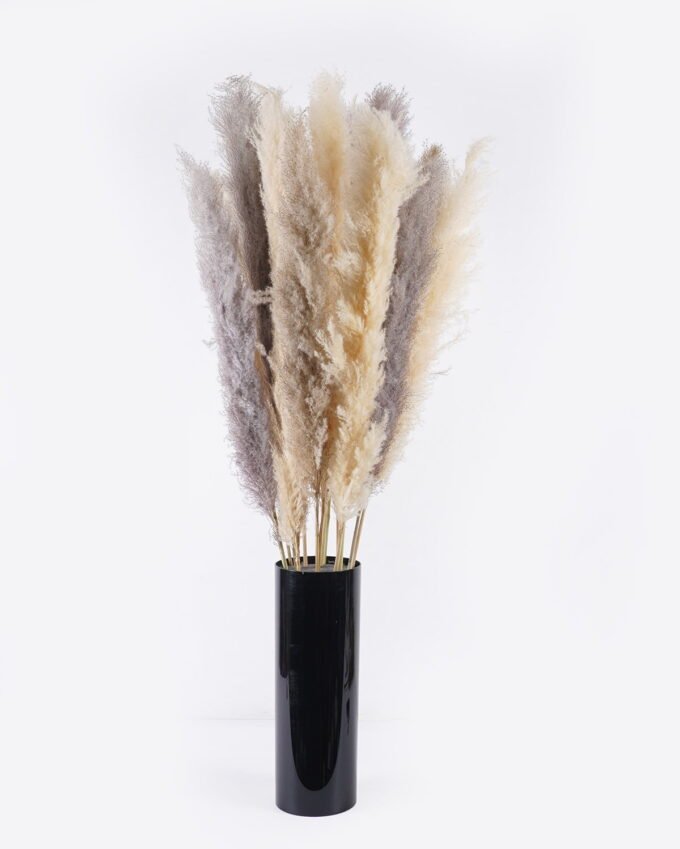 Dried Flowers Reed 18 in PP pot GS-56626002_8 Dried Flowers 50*30*150cm Reed *18 in PP pot GS-56626002 2026Aug 3,000+ sqm showroom with thousands of artificial flowers, plants & trees ready for global sourcing.