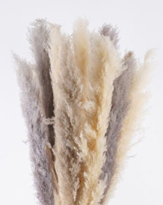 Dried Flowers 50*30*150cm Reed *18 in PP pot GS-56626002 2026Aug 3,000+ sqm showroom with thousands of artificial flowers, plants & trees ready for global sourcing. Dried Flowers 50*30*150cm Reed *18 in PP pot GS-56626002 2026Aug 3,000+ sqm showroom with thousands of artificial flowers, plants & trees ready for global sourcing.