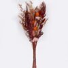 Dried Flowers Semi-paper translucent bouquet bundle nature plants GS-56626064_4 Dried Flowers 17*4*59cm Semi-paper translucent bouquet bundle/nature plants GS-56626064 2026Aug 3,000+ sqm showroom with thousands of artificial flowers, plants & trees ready for global sourcing.