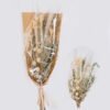 Dried Flowers Semi-paper translucent bouquet bundle nature plants GS-56626067_3 Dried Flowers 16*4*68cm Semi-paper translucent bouquet bundle/nature plants GS-56626067 2026Aug 3,000+ sqm showroom with thousands of artificial flowers, plants & trees ready for global sourcing.