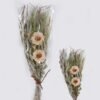 Dried Flowers Transparent bouquet bundle nature plants GS-56626086_4 Dried Flowers 16*7*74cm Transparent bouquet bundle/nature plants GS-56626086 2026Aug 3,000+ sqm showroom with thousands of artificial flowers, plants & trees ready for global sourcing.